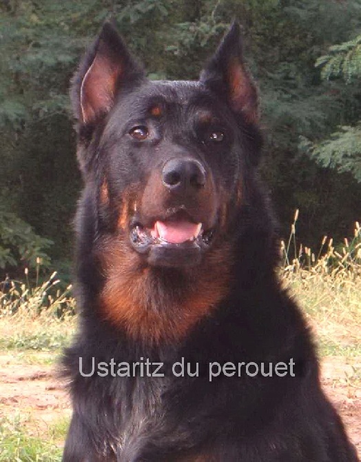 Du perouet - Au revoir Ustaritz